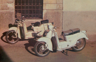 Galletto 1949/1966